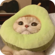 蘑菇17.㏄官方版官方版APP应用