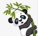 WWW,se248·COM网站APPAPP应用